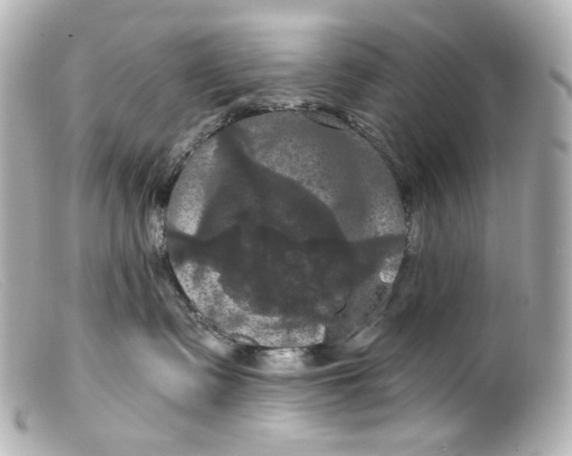 X0000099380335200805291134