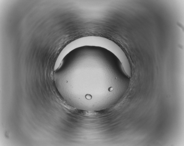 X0000099380336200805291134