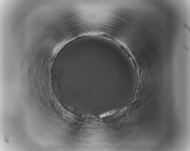 X0000099380337200805291133