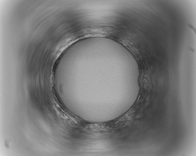 X0000099380338200805291133