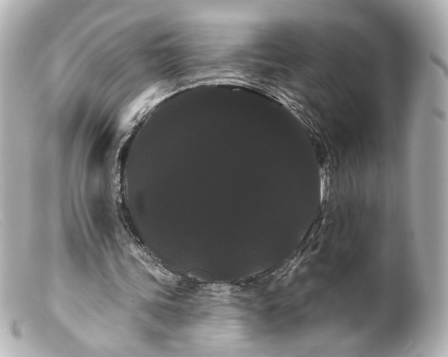 X0000099380339200805291133