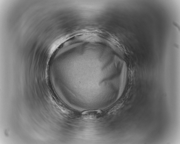 X0000099380340200805291133