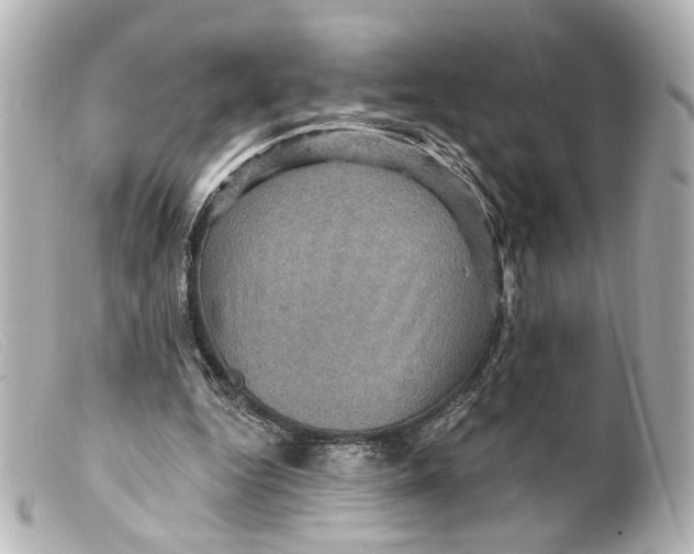 X0000099380344200805291133