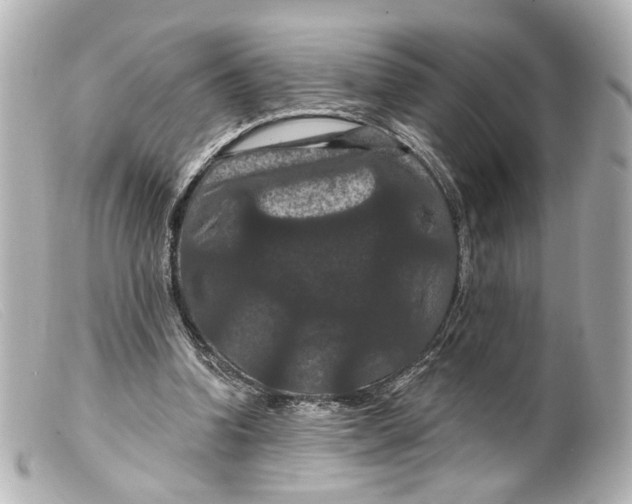 X0000099380346200805291133