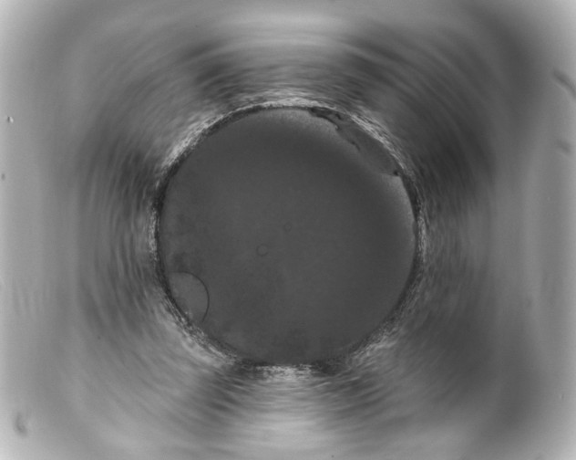 X0000099380347200805291133