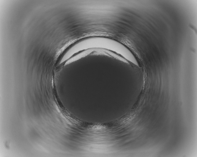 X0000099380348200805291133