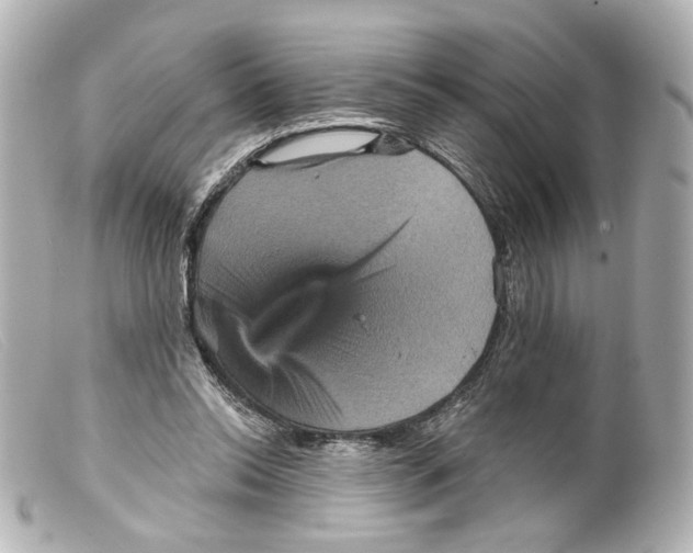 X0000099380350200805291133