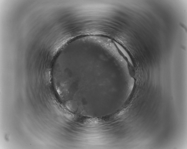 X0000099380351200805291133