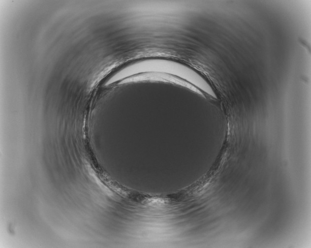 X0000099380352200805291133