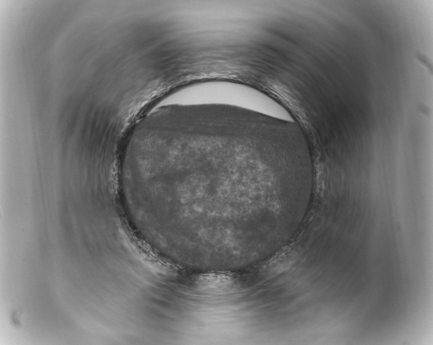 X0000099380354200805291133