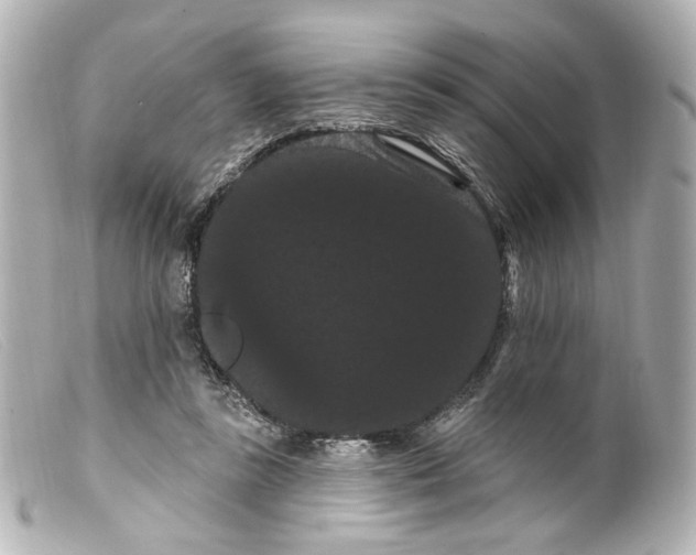 X0000099380355200805291133