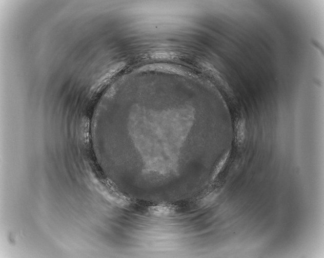 X0000099380356200805291133