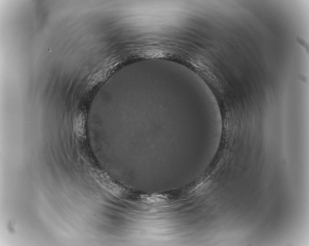 X0000099380359200805291133