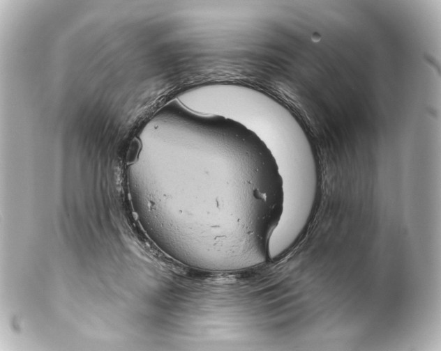 X0000099380362200805291133