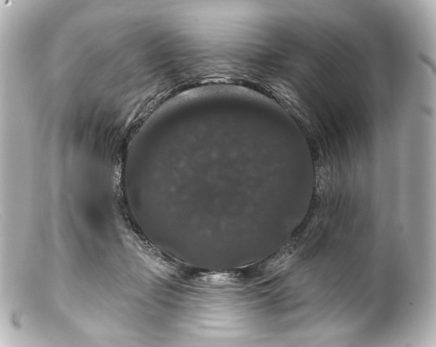 X0000099380365200805291133