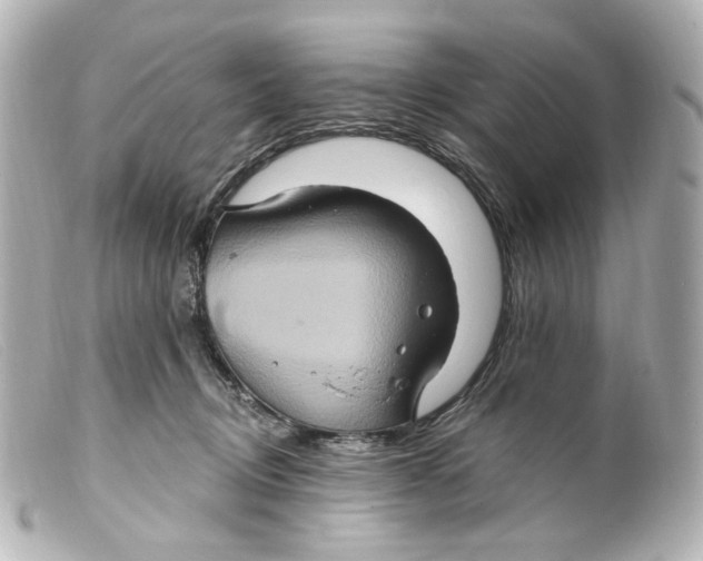 X0000099380370200805291133