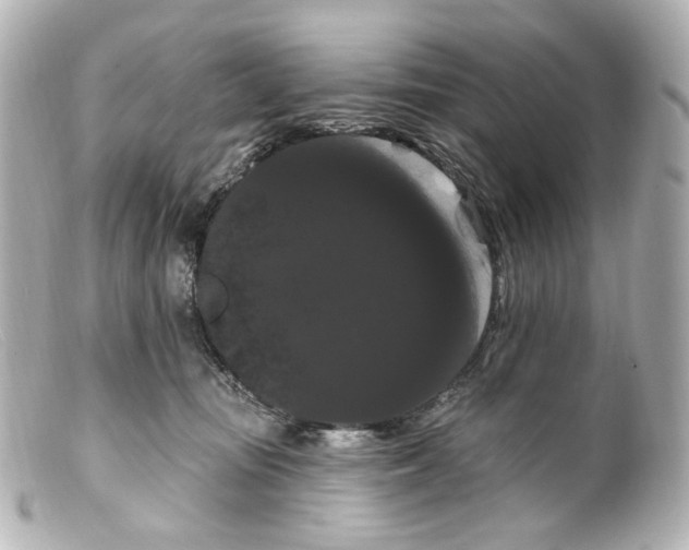 X0000099380371200805291133