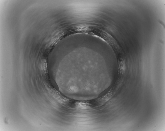 X0000099380372200805291133