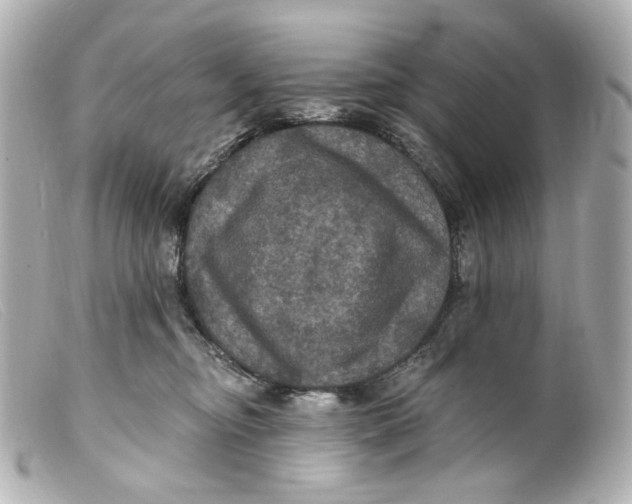 X0000099380374200805291133