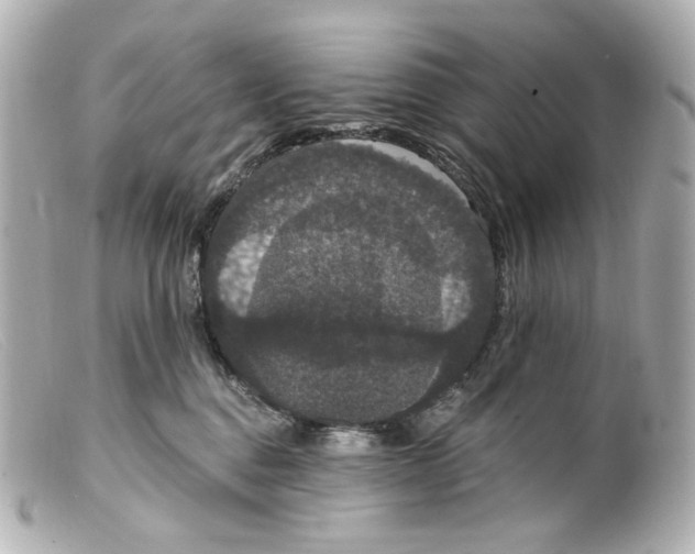 X0000099380376200805291133