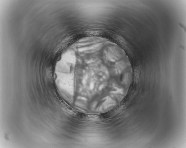 X0000099380377200805291133