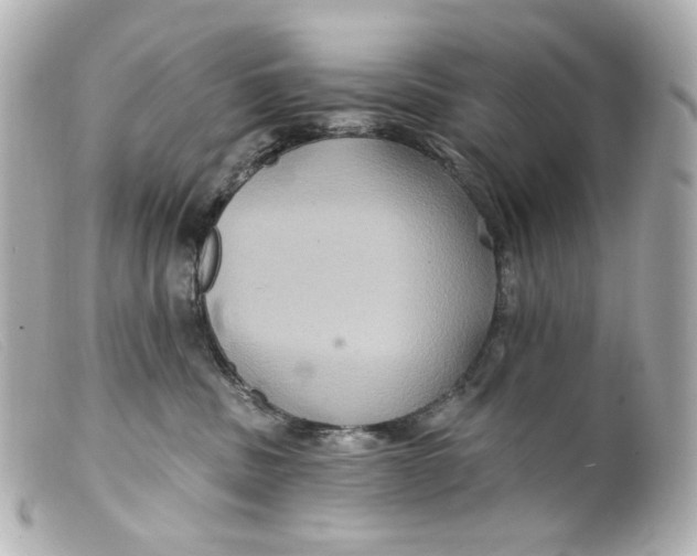 X0000099380379200805291133