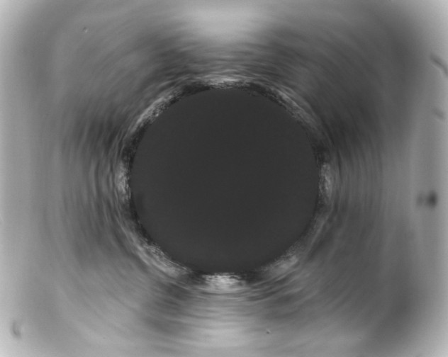 X0000099380380200805291133