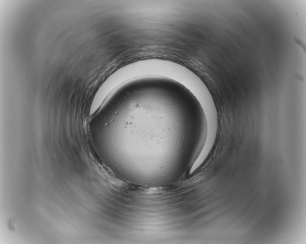 X0000099380382200805291133