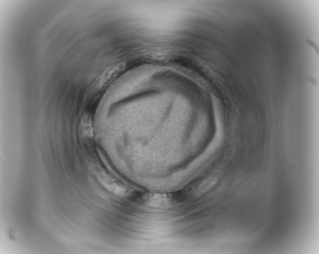 X0000099380384200805291134