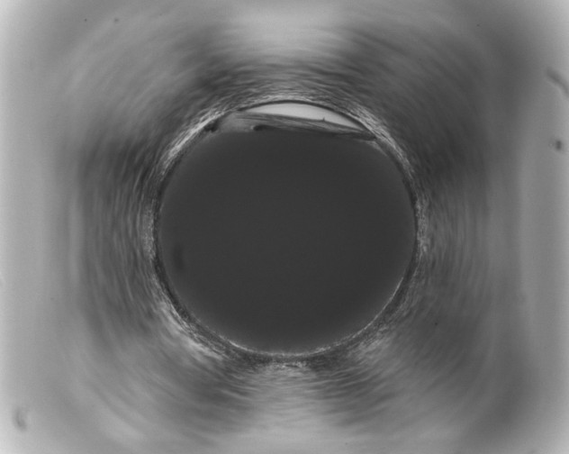 X0000099380386200805291133