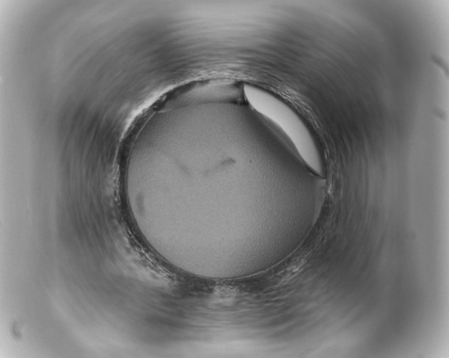 X0000099380388200805291133