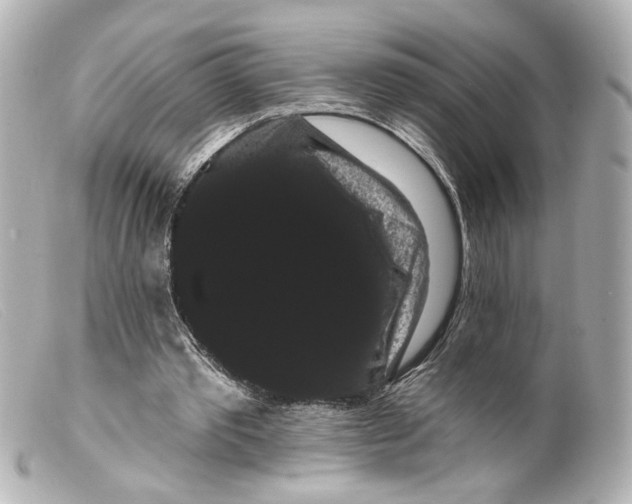 X0000099380389200805291133