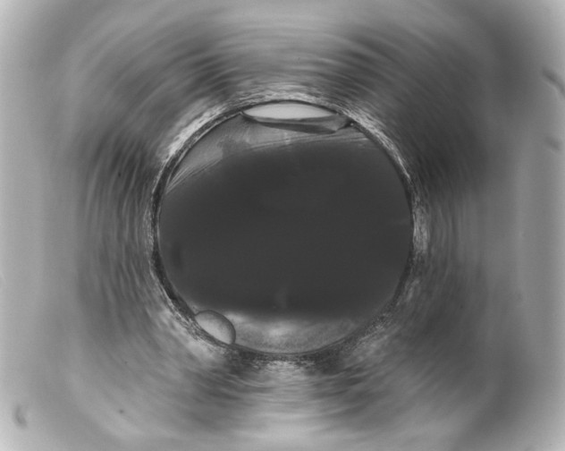 X0000099380390200805291133