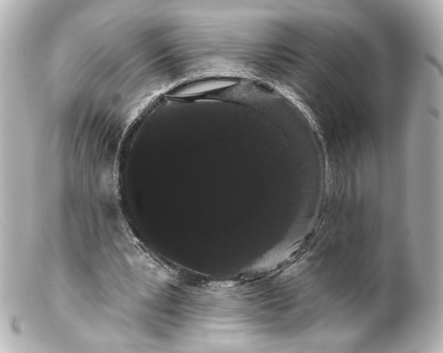 X0000099380391200805291133