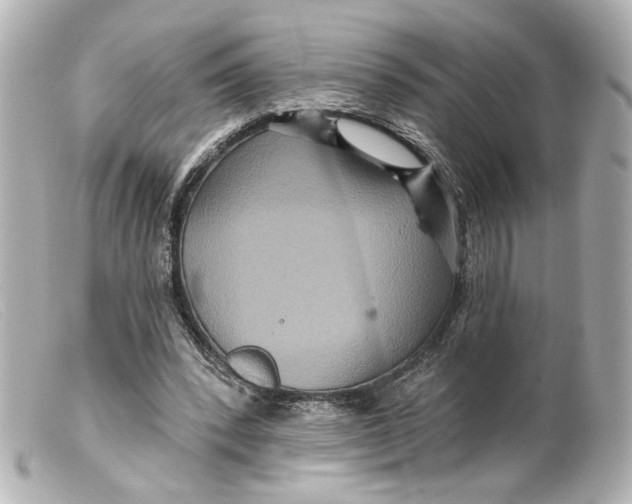 X0000099380392200805291133