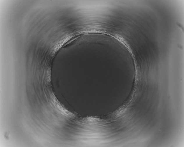 X0000099380393200805291133