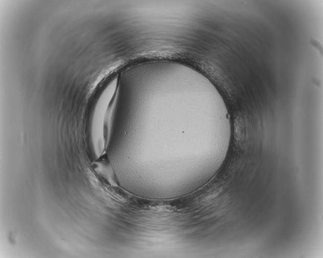 X0000099380396200805291133