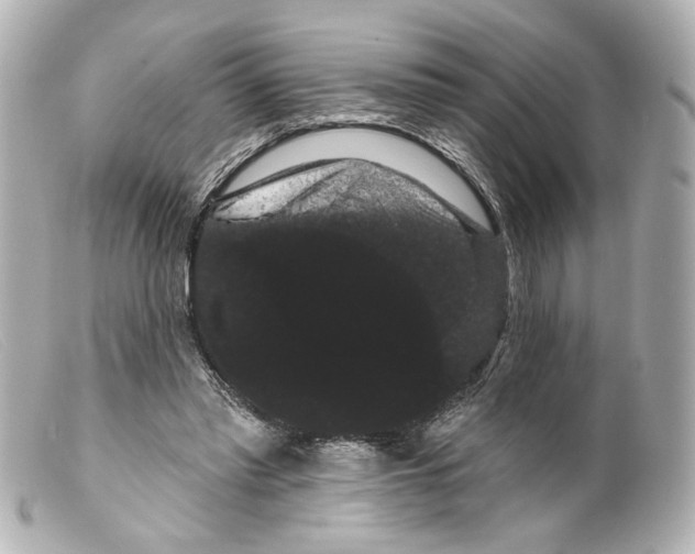 X0000099380397200805291133