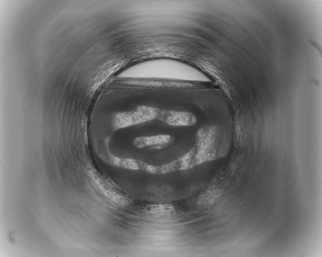 X0000099380398200805291133