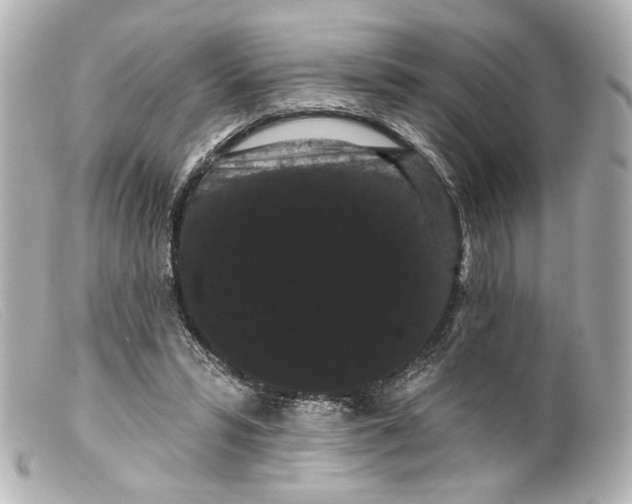 X0000099380399200805291133