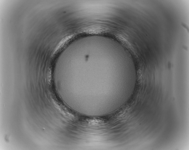 X0000099380400200805291133