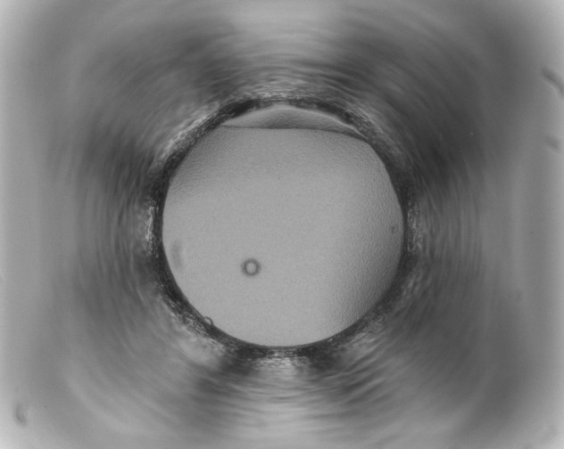 X0000099380404200805291132