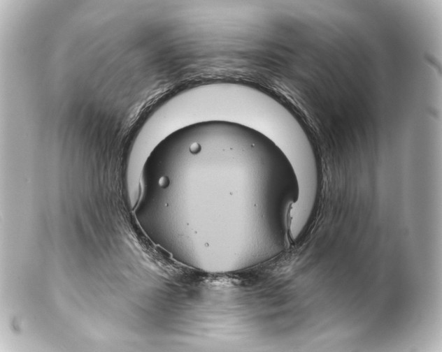 X0000099380407200805291132