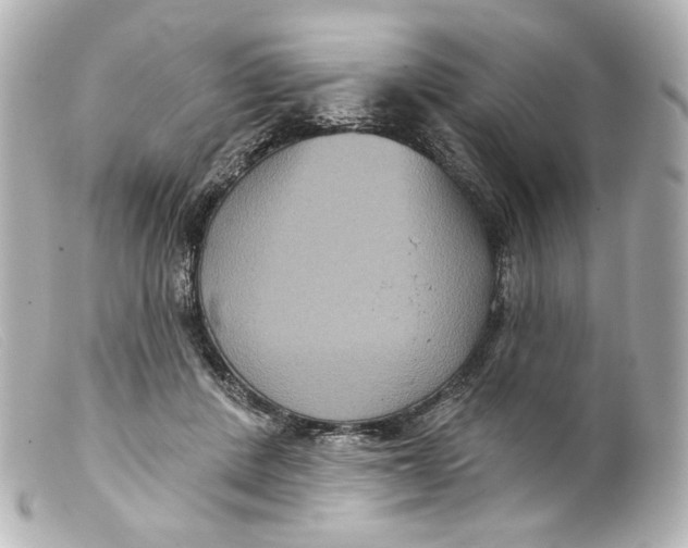 X0000099380408200805291132