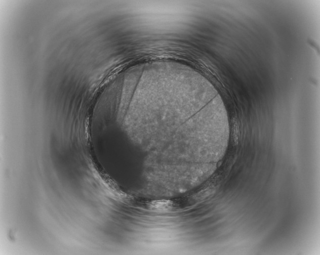 X0000099380410200805291132