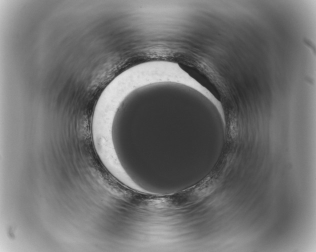 X0000099380411200805291132