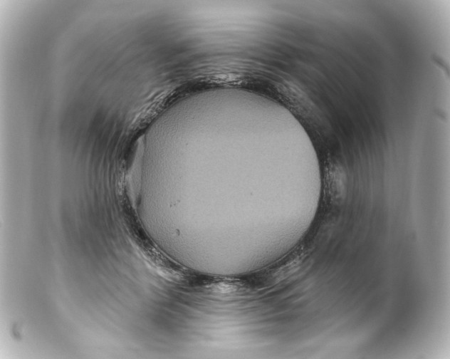 X0000099380412200805291132