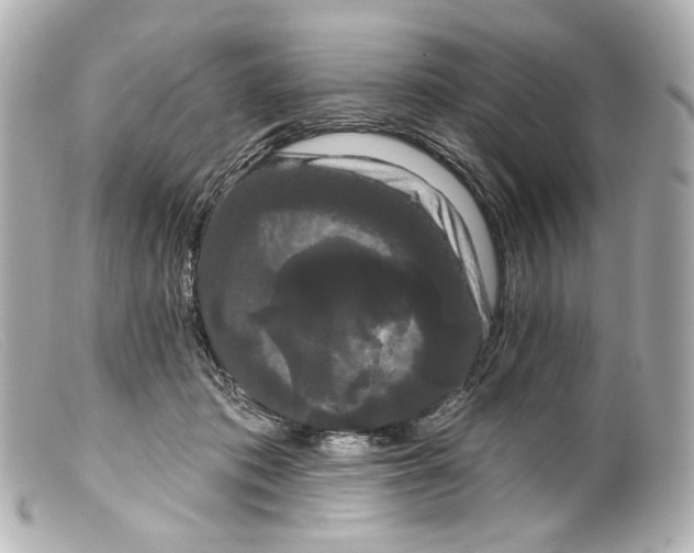 X0000099380413200805291132