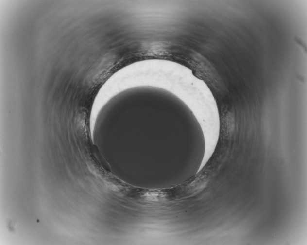 X0000099380415200805291132