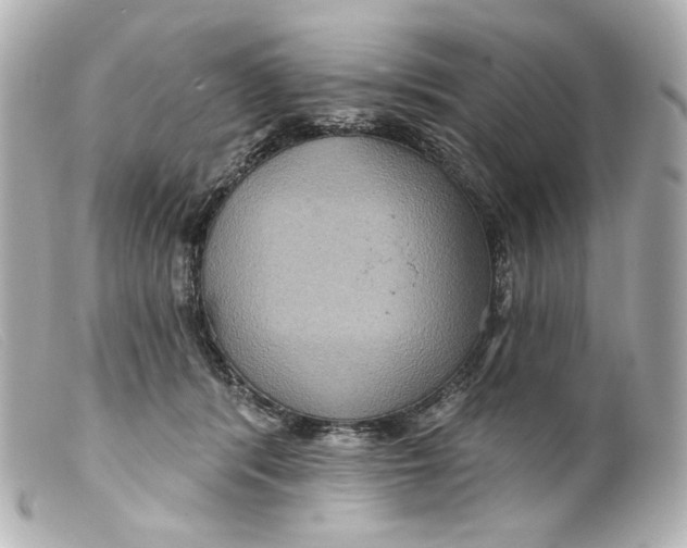 X0000099380416200805291132